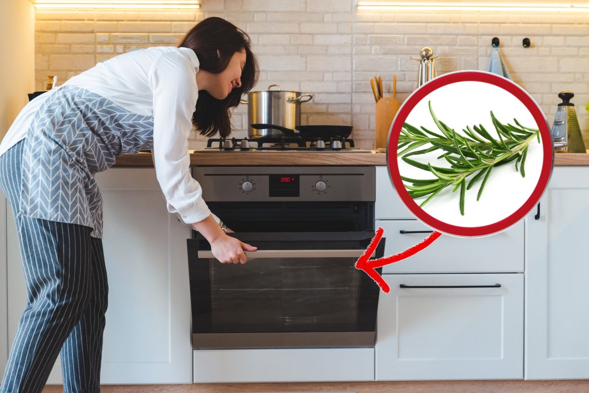 metti 1 ramo di rosmarino rosmarino nel forno