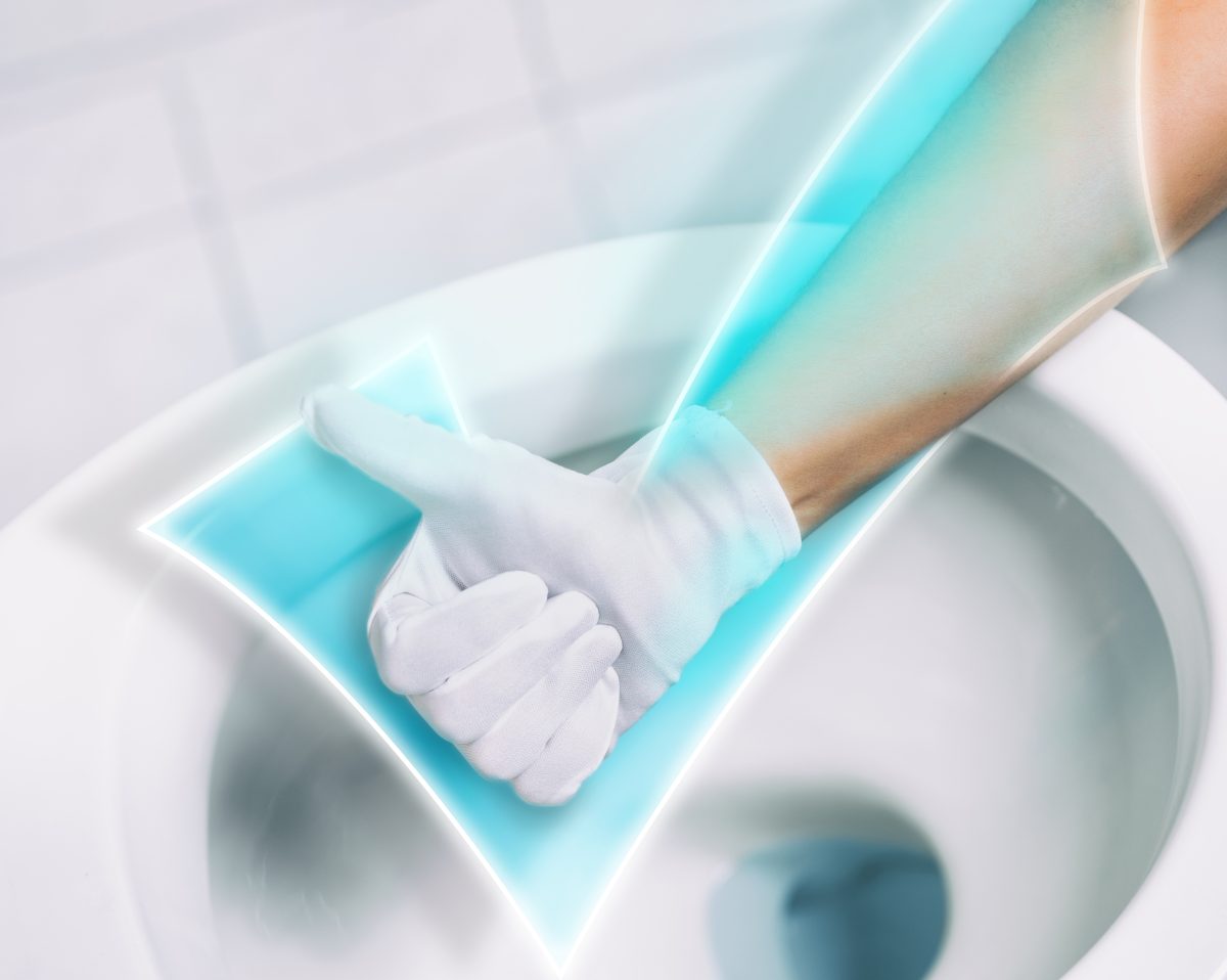 bordo e base del wc AdobeStock 286450879