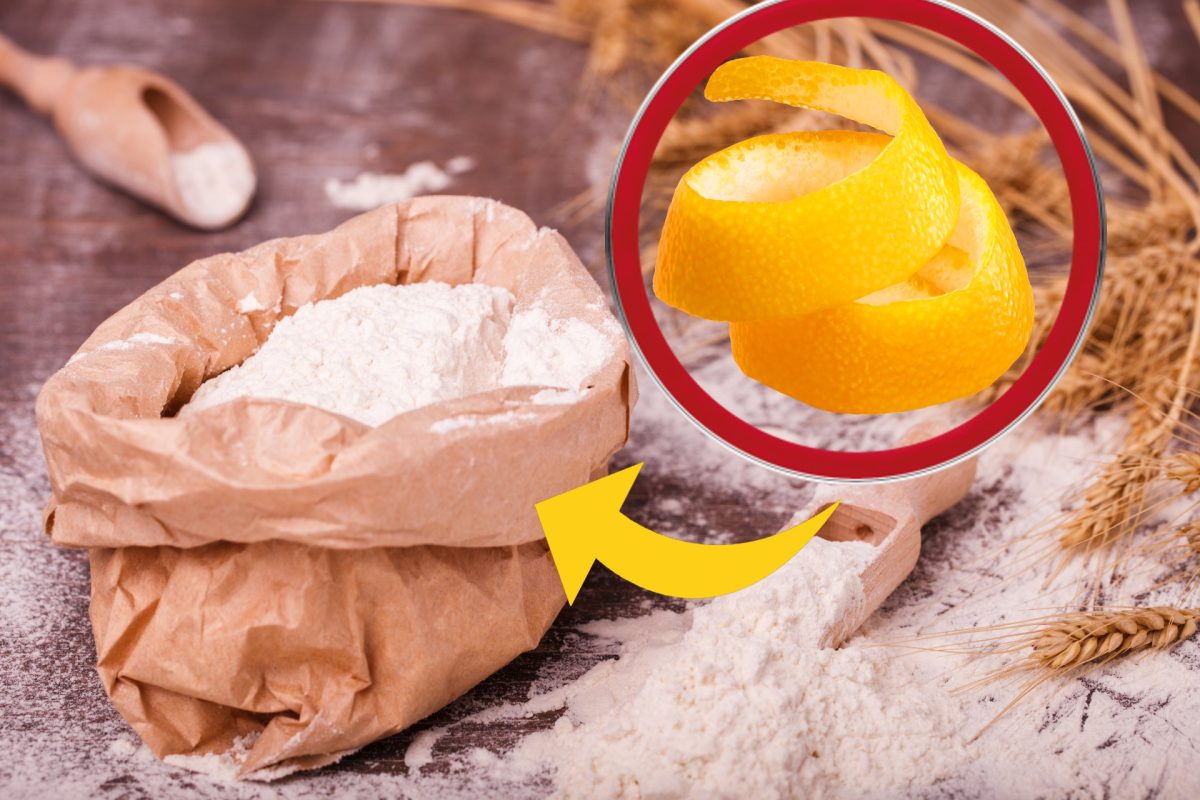 bucce darancia vicino la farina bucce d arancia farina