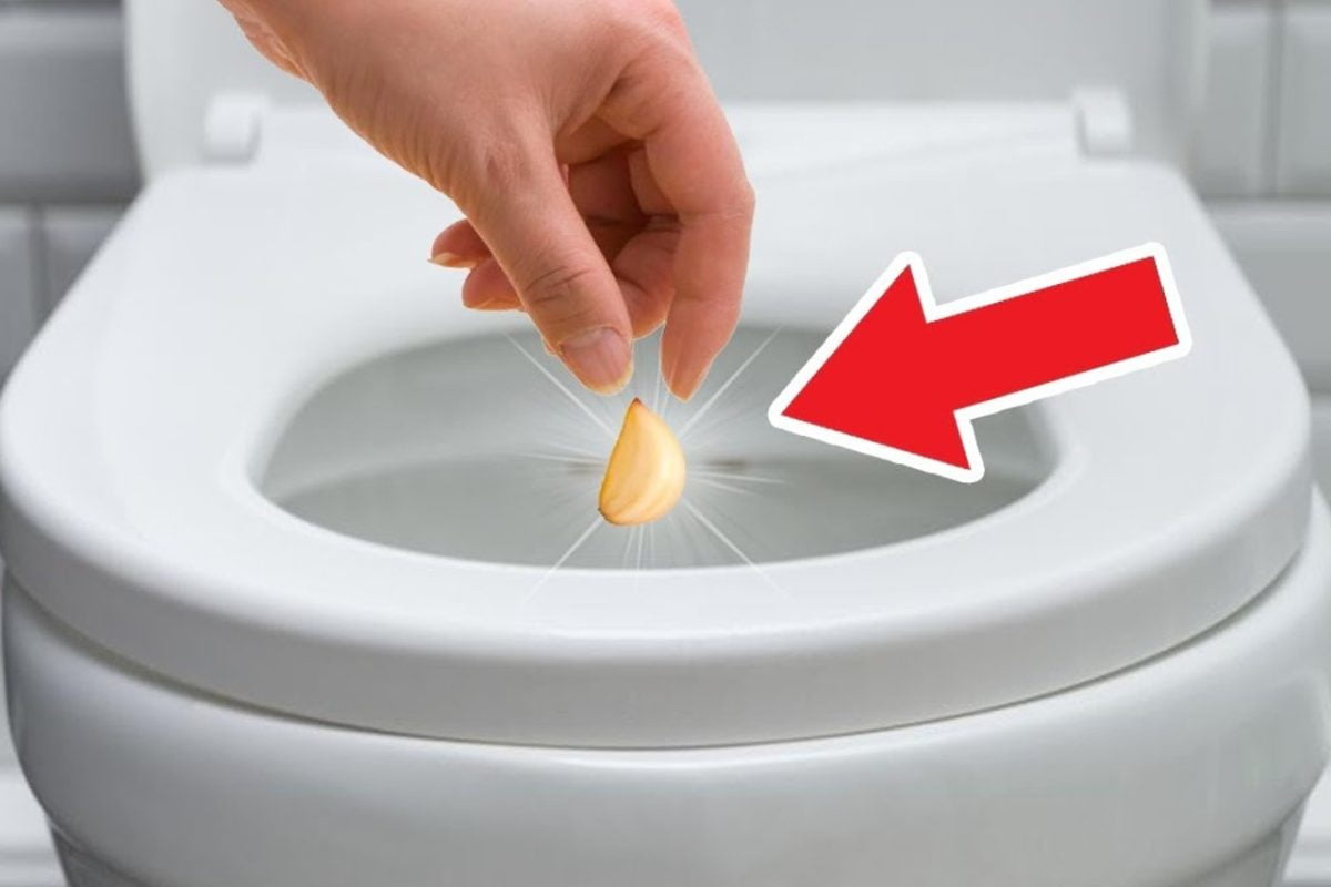 butta uno spicchio di aglio aglio wc 1