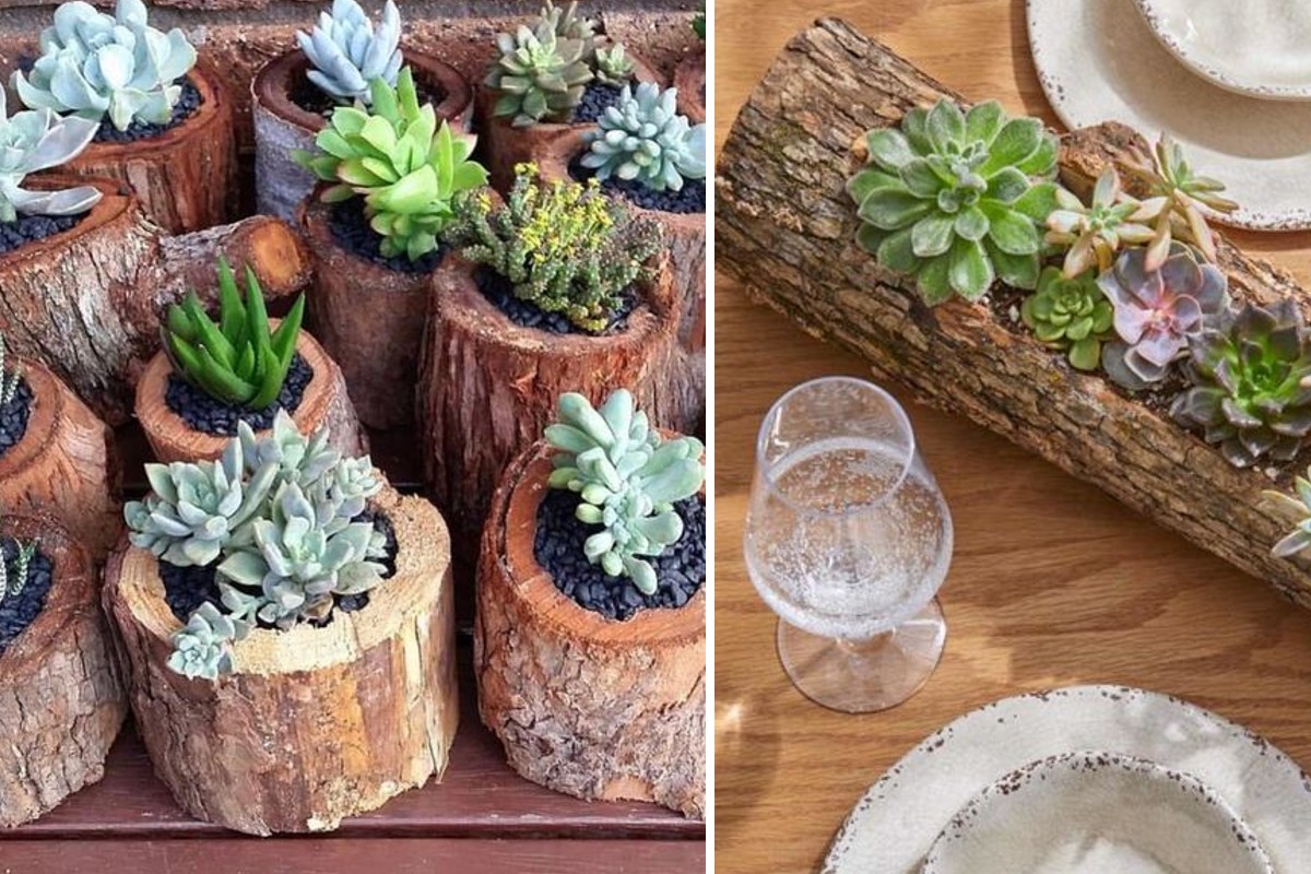 decora un tronco con le decorare 1 tronco