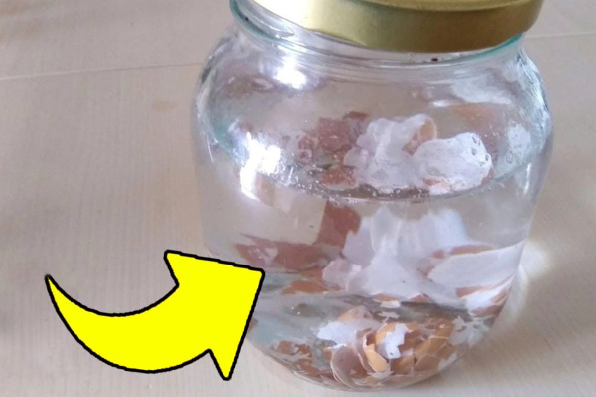 per quale motivo molti immergono gusci duovo