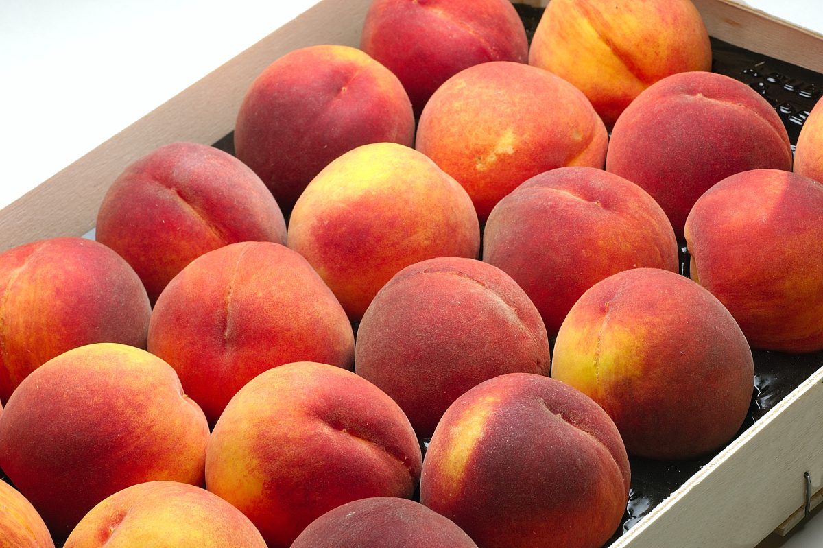 pesche fai caso al dettaglio AdobeStock 1284676