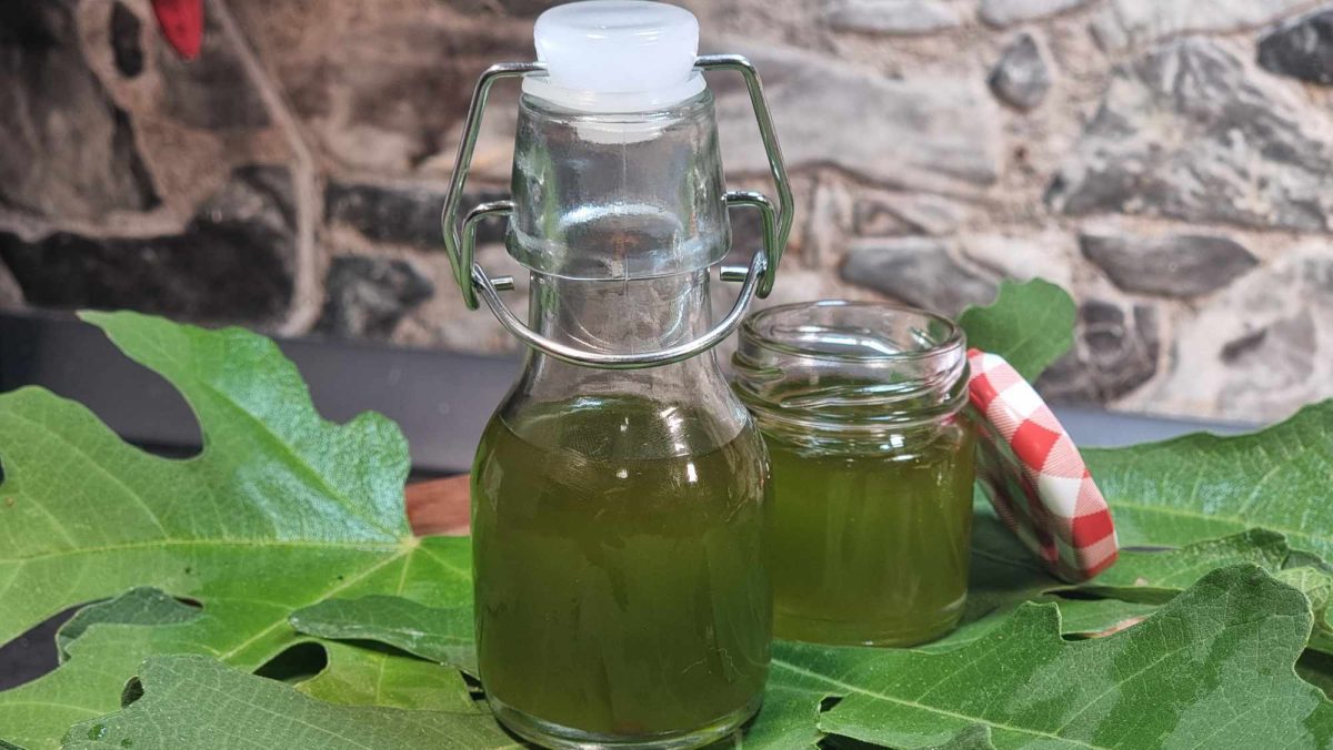 364399262 301386695710150 4392700689196244106 n