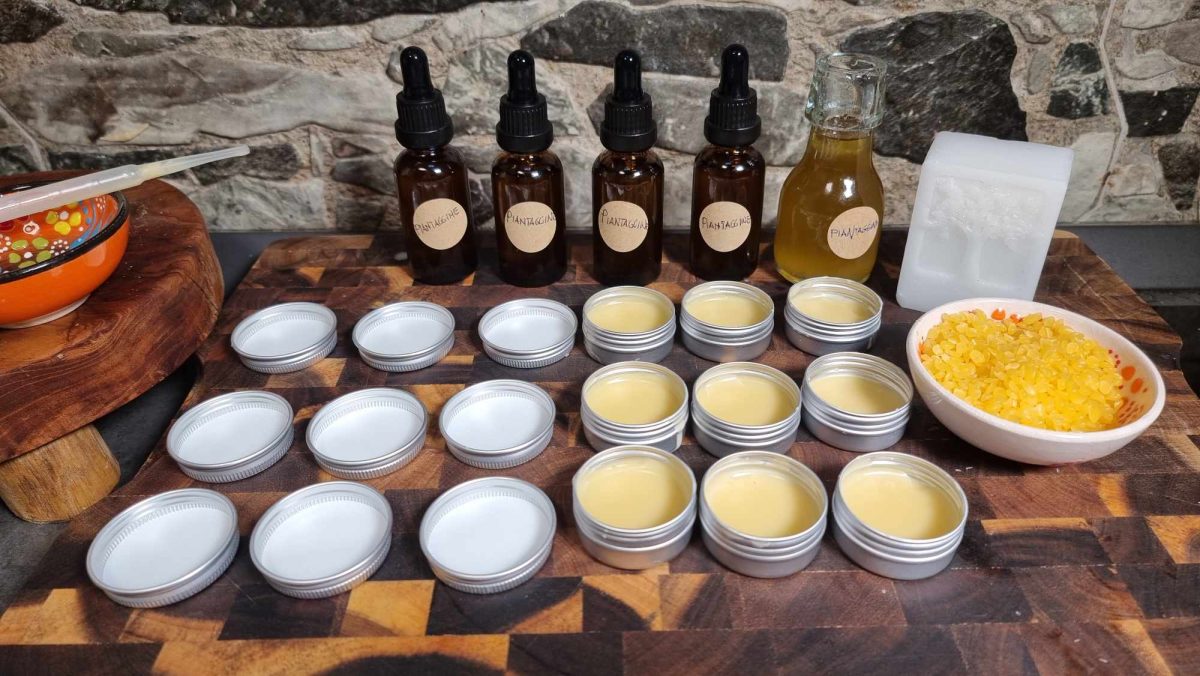 366303174 120822067766208 2678295810659671102 n