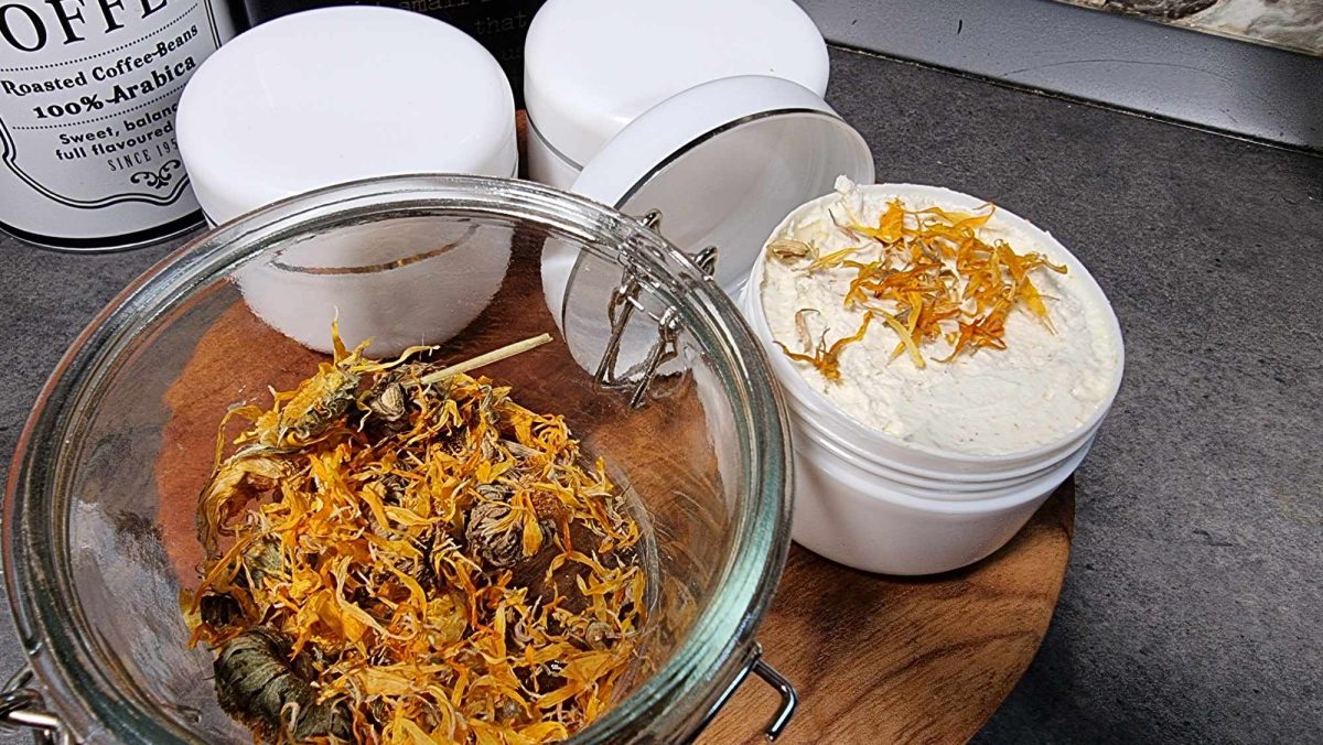 368685243 1007488567132149 8529365115238846883 n