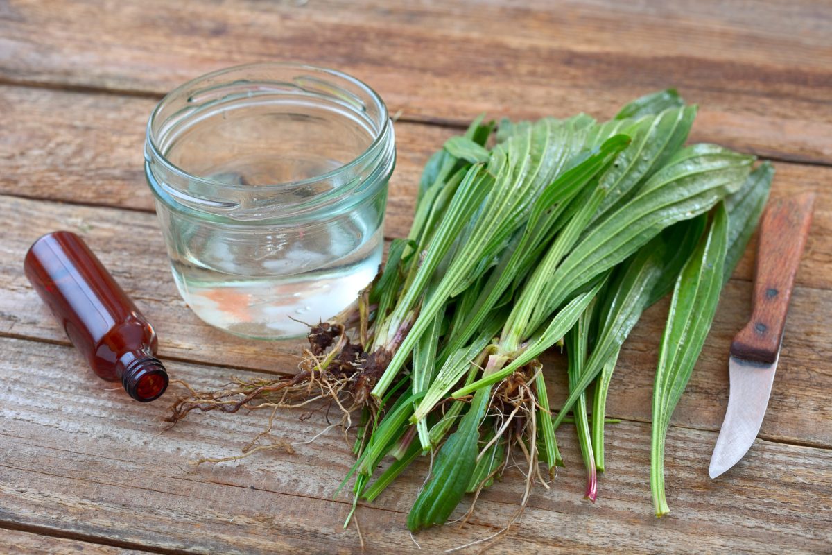 AdobeStock 204960300 scaled 1