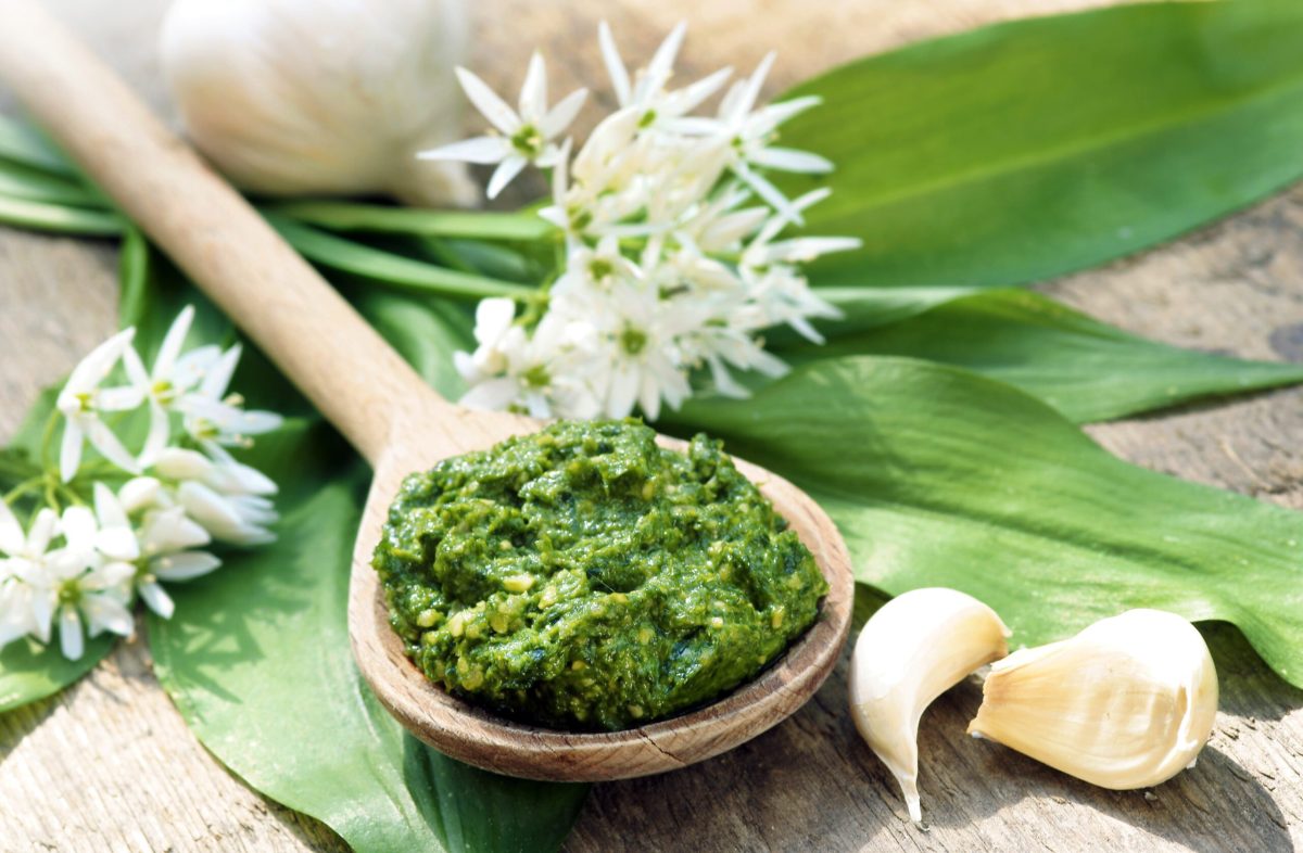 Pesto aglio ursino scaled 1