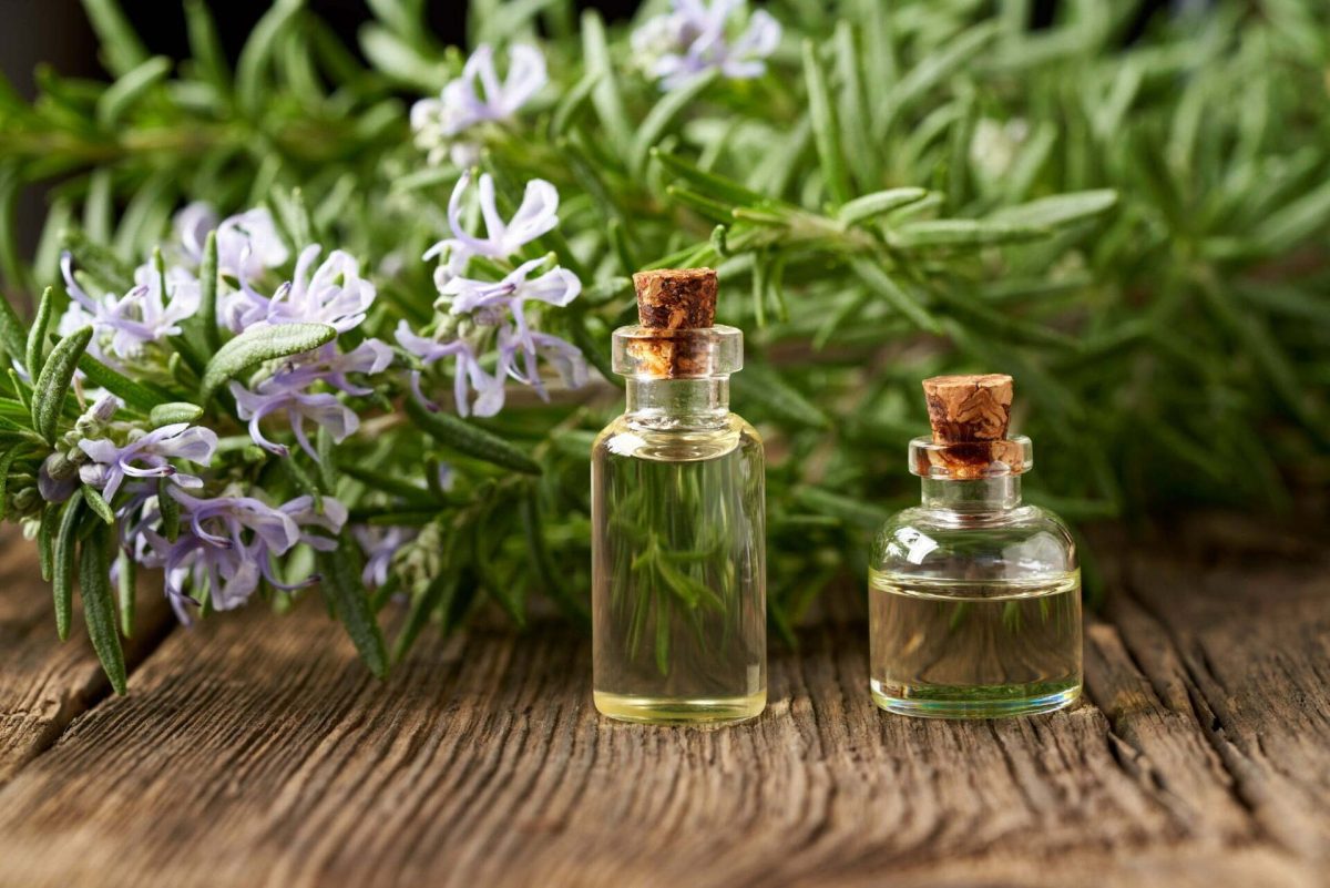 oleolito di rosmarino