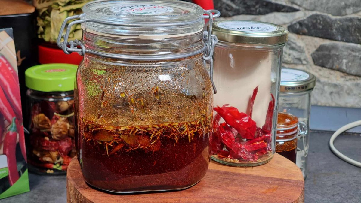 375210149 994381981857757 2394244291858902939 n