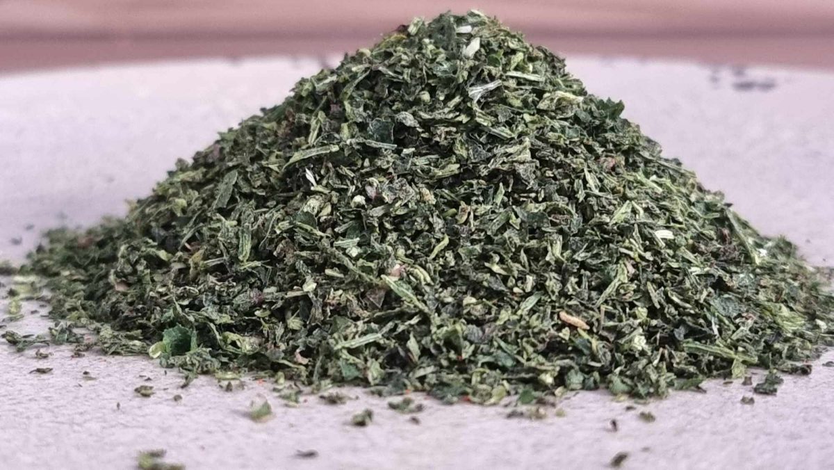 377121162 616893637272856 1118003381676306472 n