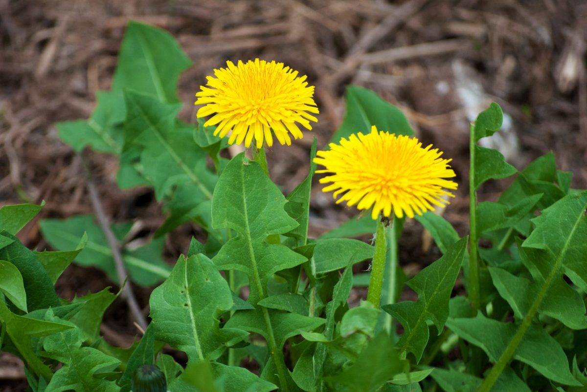 AdobeStock 141156003 scaled 1