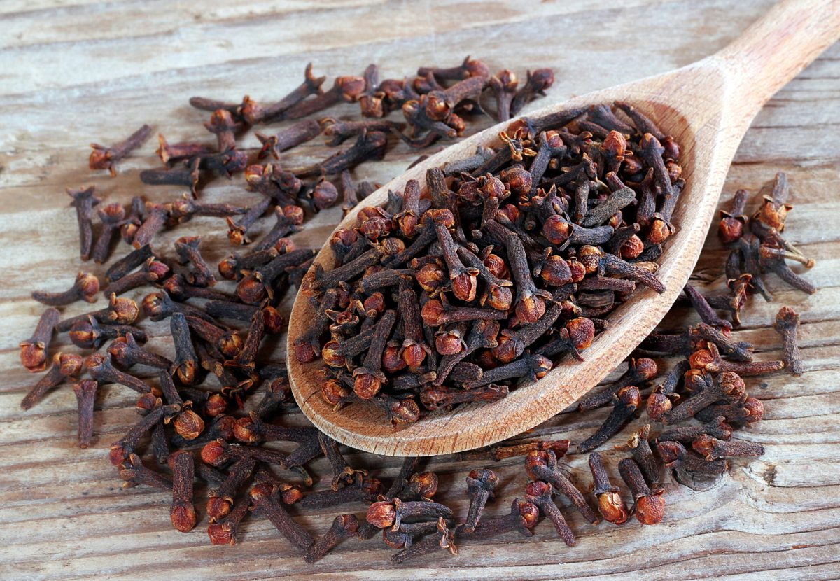 chiodi di garofano scaled 1