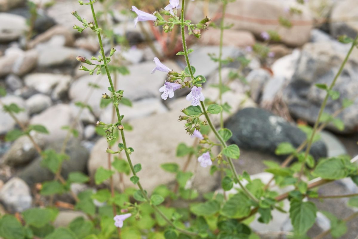 AdobeStock 454776297 scaled 1